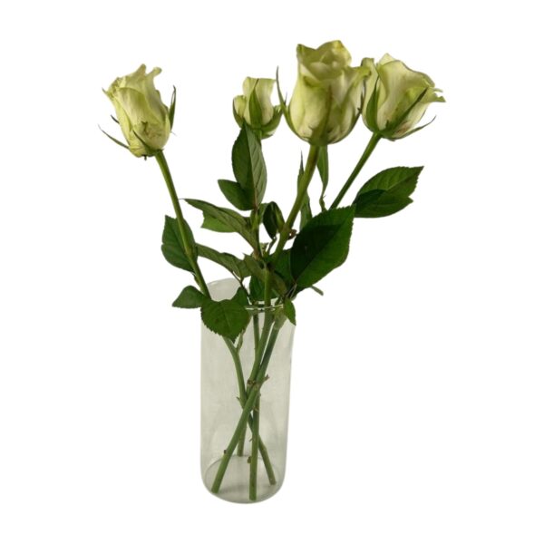 Zylindervase klar klein – Bild 2