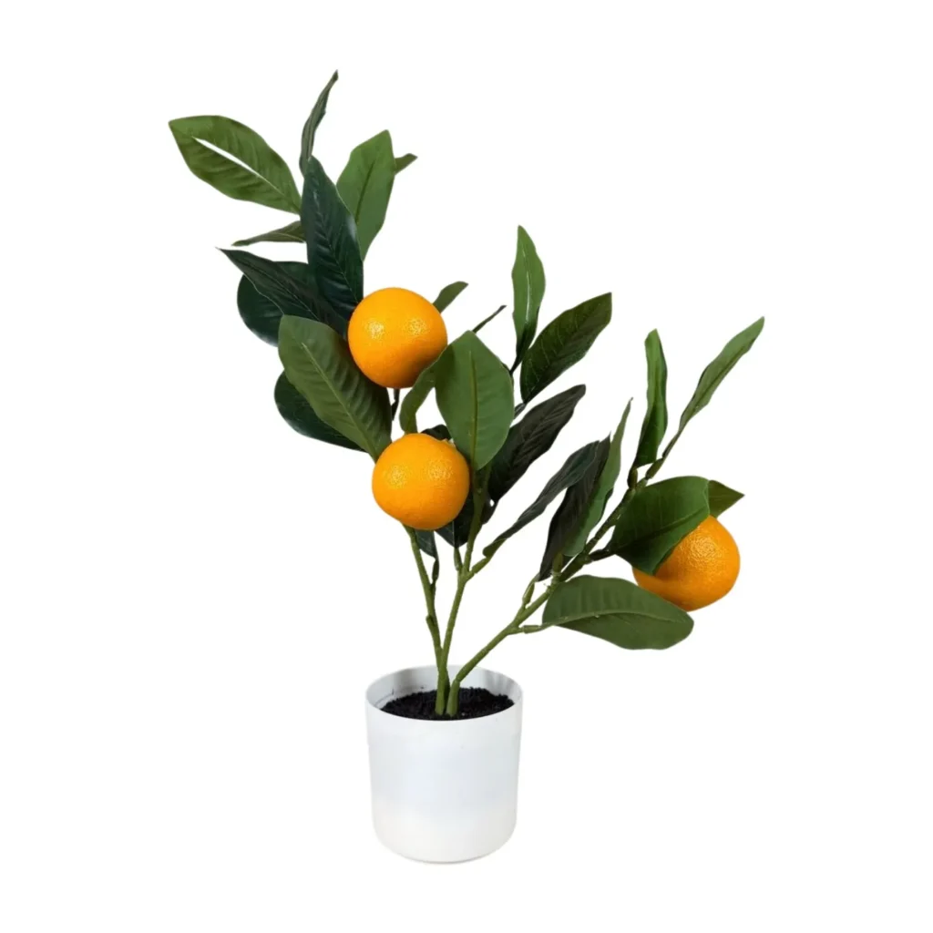 Orangenbaum klein